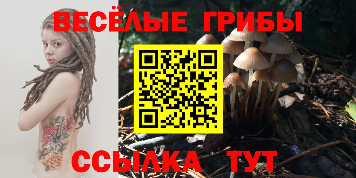 Псилоцибиновые грибы мицелий  Вход с VPN  Карпинск 